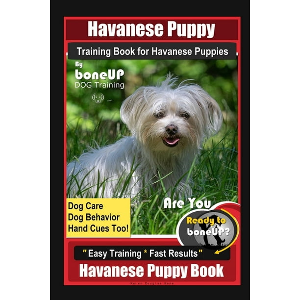 Are Havanese Easy To Train