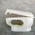 thumbnail image 4 of Pigeon Injection Fixer Plastic Pigeon Medicine Feeding Accessory Hollow Pigeons Injection Holder, 4 of 7