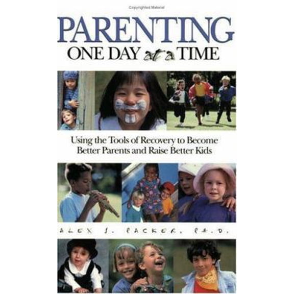 Pre-Owned Parenting One Day at a Time: Using the Tools of Recovery to Become Better Parents and Raise Better Kids (Paperback) 1568383231 9781568383231
