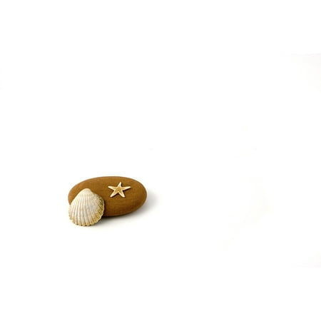 - Canvas Print Shellfish Beach Fish Shore Star Stranded Water Stretched Canvas 10 x 14