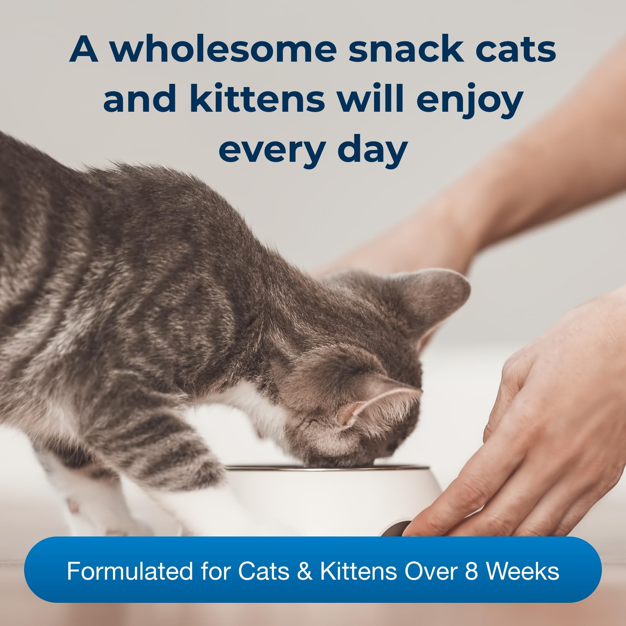 PetAg Cat Sip Milk Treat for Cats Kittens 8 fl oz. Walmart