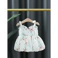 thumbnail image 2 of Bagilaanoe Toddler Baby Girl Summer Dress Flower Print Sleeveless A-line Princess Dresses 6M 12M 18M 24M 3T Kid Chiffon Swing Sundress, 2 of 8