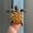 A1, variant on Vintage Rhinestone Turtle Animal Brooches For Women Coat Clothing Accessories-_-A10