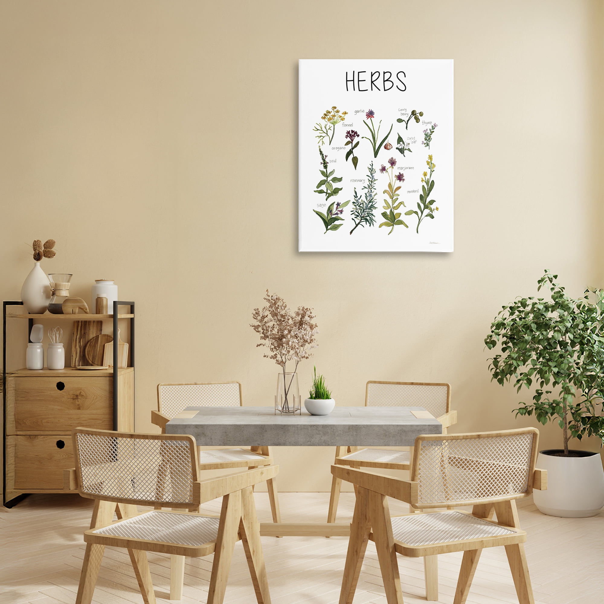 Stupell Industries Herbs Identification Chart Canvas Wall Art, design by Carol Robinson