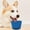 BU1, variant on Interactive Dog Slow Feeder Bowl with Anxiety and Non- Silicone Design for All Breed Sizes