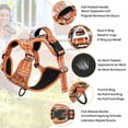 thumbnail image 3 of Arnés para perros HEELE sin tirones, ajustable, acolchado, naranja M, 3 of 5