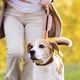thumbnail image 4 of Soporte para Bolsa para excrementos de perro, dispensador de excrementos de perro, contenedor con cremallera y Clip para correa de perro, 2 piezas, 4 of 8