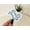 1pcs, variant on Capricorn Zodiac Signs Astrology Popular Zodiac Waterbottle Sticker