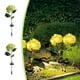 thumbnail image 1 of Iluminación Ambiental Decorativa para Patios y Jardines: Lámpara de Pie con Luz Solar y Hortensia Que Se Enciende Automáticamente Al Anochecer., 1 of 6