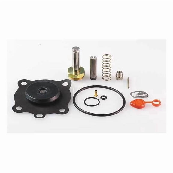 Asco Solenoid Valve Rebuild Kit 302379