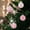Pink, variant on HongHeng Christmas Ball Ornaments, 3.14 inches Vintage Christmas Tree Decorations, 9 PCS Large Shatterproof Neutral Farmhouse Luxury Xmas Ornaments for Christmas Tree, Home Decor