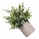thumbnail image 5 of Maceta de flores falsa Mesa interior Mini Bonsai artificial Decoración del hogar Flor en maceta de simulación Methold HA8899-00B, 5 of 6