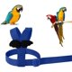 thumbnail image 3 of Arnés ajustable para loros, correa para mascotas, cuerda antimordida, correa elástica para pájaros, loros, cacatúas, guacamayos, 3 of 5