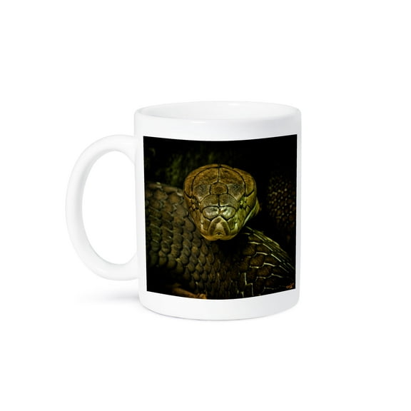 3dRose, Cobra Snake Green Coiled, 11oz Mug