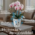 thumbnail image 4 of Maceta De Cerámica Esmaltada Para Orquídea Color Negro, 4 of 4