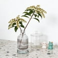 thumbnail image 6 of Small Clear Glass Bud Vase, Mini Decorative Flower Container, Tabletop Centerpiece for Living Room Bedroom Office Floral Arrangements, 6 of 6