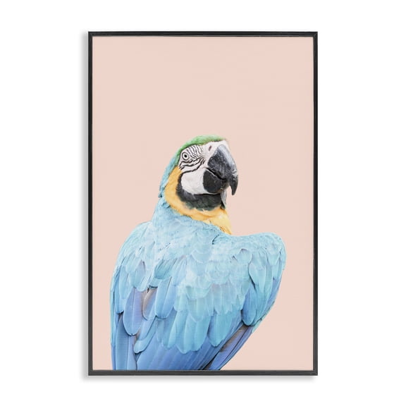 Stupell Industries Blue Ara Macaw Animals Painting Black Framed Art Print Wall Art, 12 x 18