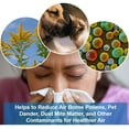 thumbnail image 3 of PUREFY Natural Air Cleanser (24oz), Eliminate airborne inanimate contaminants. Odor eliminator. Unscented, Hypoallergenic. No residue. Safe for babies and surfaces., 3 of 7