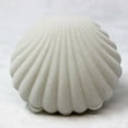thumbnail image 4 of UDIYO Lovely Shell Shape Display Box Necklace Ring Earrings Jewelry Storage Case Gift Box, 4 of 6