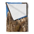 thumbnail image 2 of Galaxy Soft Flannel Fleece Throw Blanket, Abandoned Sets of the Movie in the Desert Phantom Menace Antique Cave Houses, Cozy Plush for Indoor and Outdoor Use, 50" x 70", Brown Blue, by Ambesonne, 2 of 5