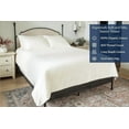 thumbnail image 5 of Delara King 3-Piece GOTS Organic Cotton Fitted Sheet Set, 400TC Long-Staple, Moisture-Wicking, Smooth & Breathable, Deep Pocket, Ivory, 5 of 7