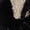Black, variant on Aellinatey Elegant Sequins Roaring 20s Party Dress Women Fringe Evening Gown for Cocktail