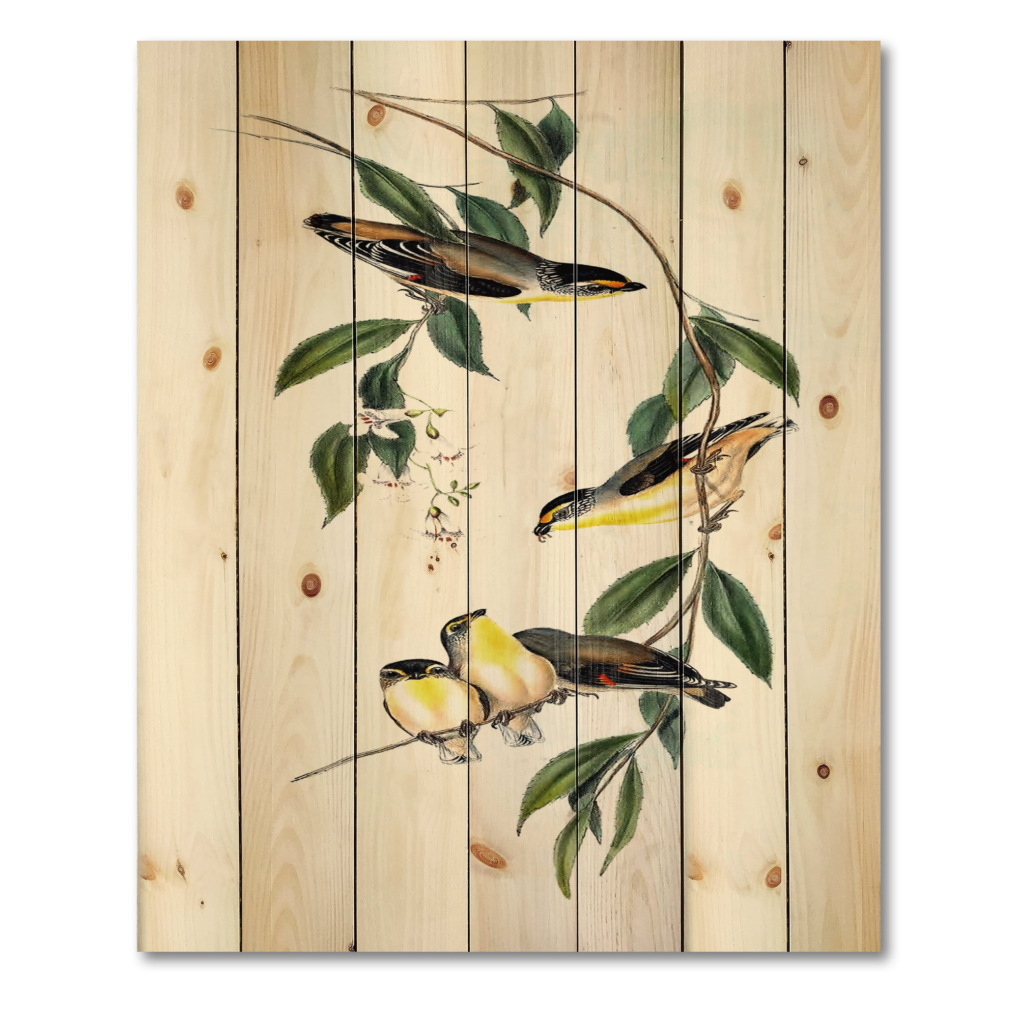 Designart 'Ancient Bird III' Traditional Print on Natural Pine Wood