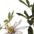 thumbnail image 4 of Hill Interiors Artificial Passion Flower Spray, 4 of 4