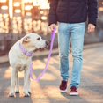thumbnail image 5 of Correa impermeable para perros: Correas estándar para perros con 2 ganchos para Caminar, longitudes ajustables, duradero y resistente al olor (S 3/4 in × 5 ft, lila), 5 of 5