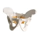 thumbnail image 1 of Modelo de pelvis femenina, herramienta de demostración de aula de educación de aprendizaje para niños extraíble, ayuda didáctica para estudio de, 1 of 8