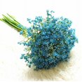 thumbnail image 2 of Wisdom Artificial plants,16pcs Babys Breath Artificial Flowers for Decoration Fake Gypsophila Bouquet for Flower Arrangement Light,Blue, 2 of 7