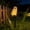 solar animal stake Under $5 a4, variant on Werulen Animal Figurine Solar Ground Stake Auto Night Glow, Yard Patio Lawn Landscape Lighting, Solar Stake Light, Animal Ornament, Outdoor Lamp