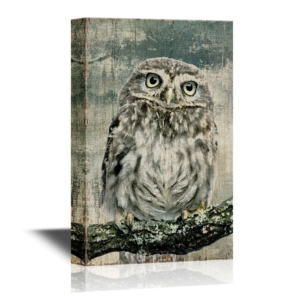 wall26 Canvas Wall Art Young Owl Perching on Branch in Front of White