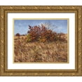 thumbnail image 1 of Ziman, Peter 24x20 Gold Ornate Wood Framed with Double Matting Museum Art Print Titled - Dry Autumn, 1 of 4