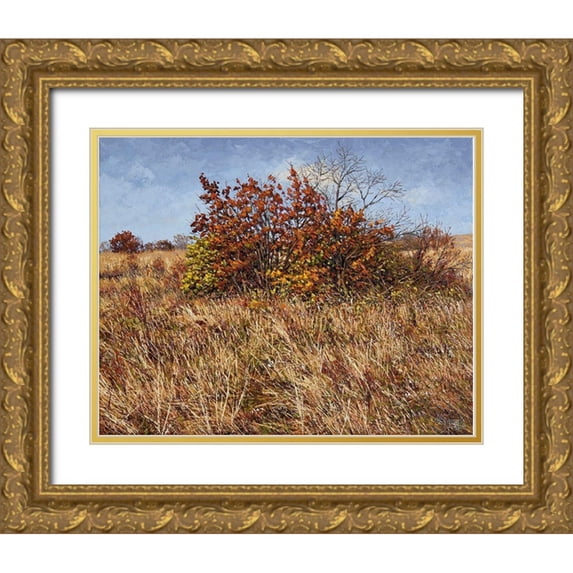 Ziman, Peter 24x20 Gold Ornate Wood Framed with Double Matting Museum Art Print Titled - Dry Autumn