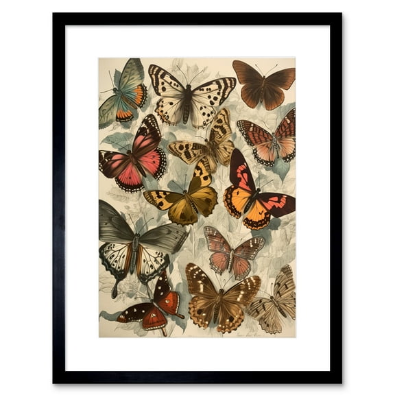 Vintage Cottagecore Aesthetic Butterflies Colour Pencil Insect Study Decor Artwork Framed Wall Art Print 9X7 Inch