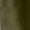 Army Green, variant on Bogo Black Cargo Pants Women High Waisted Plus Size Women'S Pants Petite Plus Fashion Pants For Women Warm Sweatpants Women Cotton High Waist