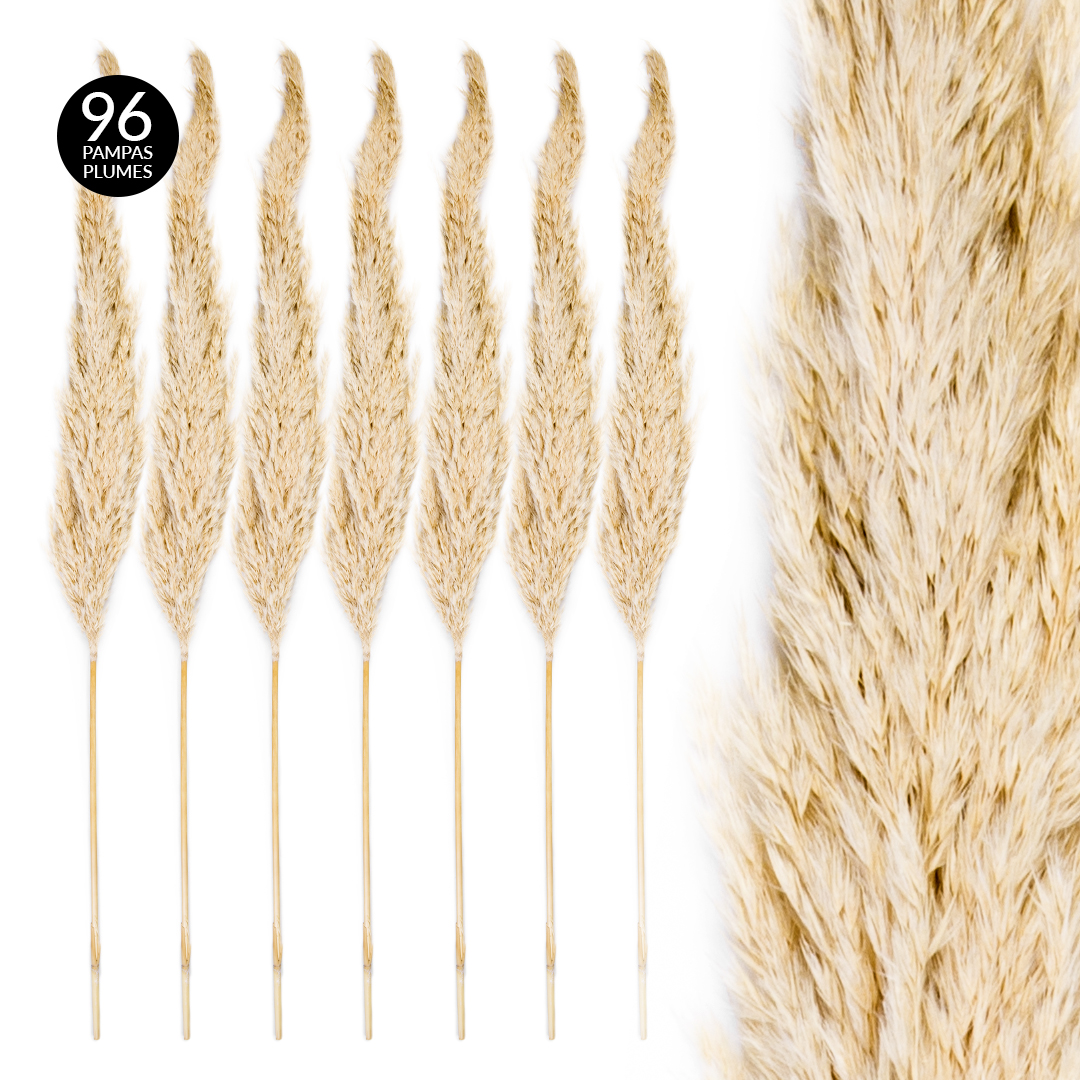 Koyal Wholesale Real Dried Pampas Grass Decor Plumes, 2832 Inches