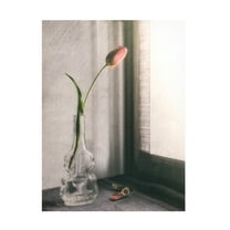 Canvas Wall Art - Cristiano Giani 'Melanchonic Mood' Wall Art for Living Room, Bedroom, or Office Décor by Trademark Fine Art - 14 x 19 Inches