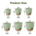 thumbnail image 2 of Indoor Self Watering Planters with Drainage Holes and Saucers, 8, 7, 6.5, 6, 5.5, 5 Inches, Green, 6 Pots, 2 of 6