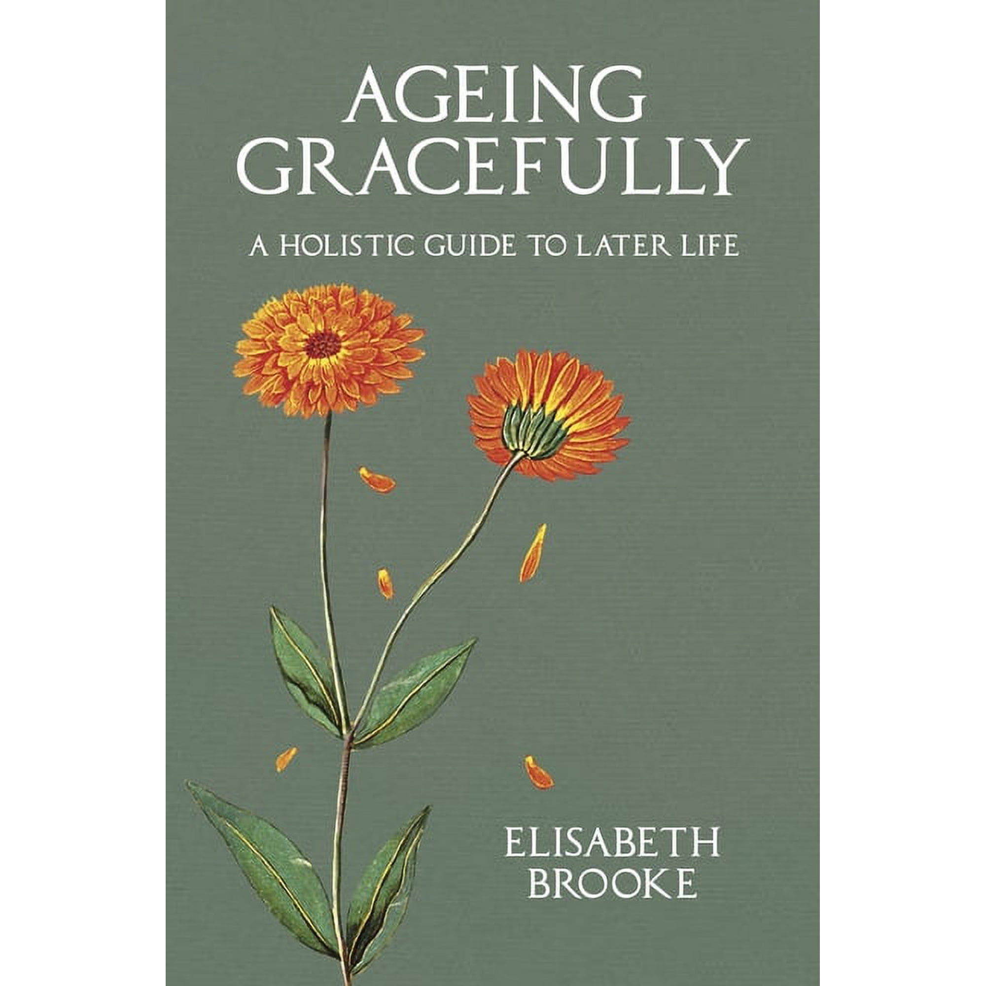 Ageing Gracefully: A Holistic Guide to Later Life (Paperback)