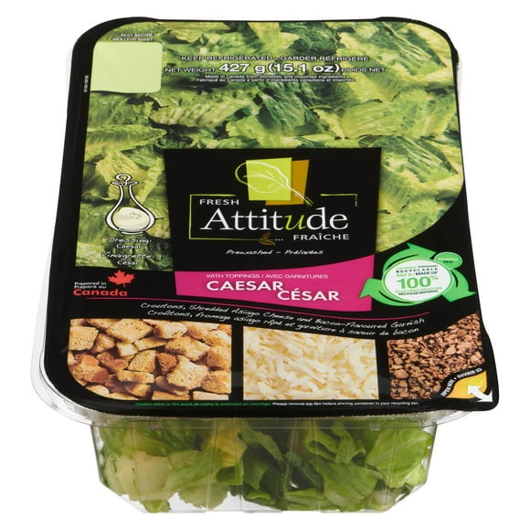 Family Kit Caesar 427 g, 15 oz