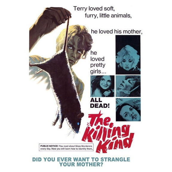 The Killing Kind (DVD)