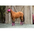 thumbnail image 2 of Mackey Fly Mask Pink Dot Print (M), 2 of 2