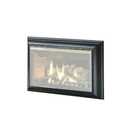 Upc 629169010004 Napoleon Giztrm4 Fireplace Direct Vent Insert