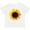 AA-White, variant on Inktastic Summer Sunflower Boys or Girls Toddler T-Shirt