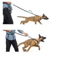 thumbnail image 5 of Dog Leash For Running Hands Free Dog Leash Kit Dog Leash Running Dog Leash, 5 of 5