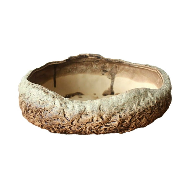 Succulent Pots - 8.6 Inch Ceramic Bonsai Pots with Drainage, Large Shallow Succulent Planters for Indoor Outdoor Plants,Flower Plant Container Bowl Home Desk Decor(Brown)