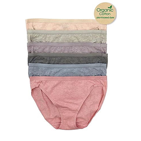 Felina Womens 6 Pack Organic Cotton Stretch Bikini (Wheat/Sky/Slate/Stone/Rose Purple, Small)