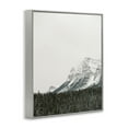 thumbnail image 4 of Stupell Industries Distant Snowy Peaks Landscape Photography Gray Framed Art Print Wall Art, 11 x 14, 4 of 10